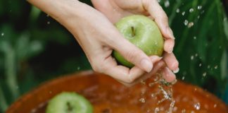 5 Benefits of Ambarella and Recipes Ever Heard of the 5 Benefits of Ambarella?