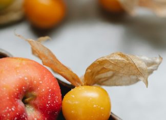 Amazing Health Benefits of Cloudberries Amazing Health Benefits Cloudberries