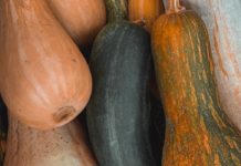 Ever Heard of Ash Gourd Health Benefits? Ever Heard of Ash Gourd Health Benefits?