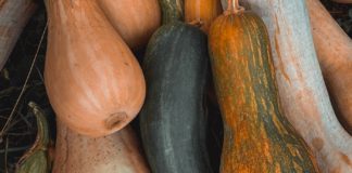 Ever Heard of Ash Gourd Health Benefits? Ever Heard of Ash Gourd Health Benefits?