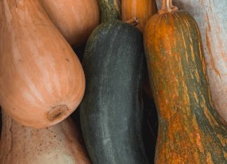 Ever Heard of Ash Gourd Health Benefits? Ever Heard of Ash Gourd Health Benefits?
