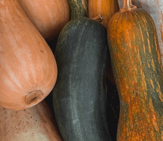 Ever Heard of Ash Gourd Health Benefits? Ever Heard of Ash Gourd Health Benefits?