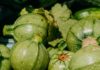 Facts and Health Benefits of Bael Fruit Facts and Health Benefits of Bael Fruit