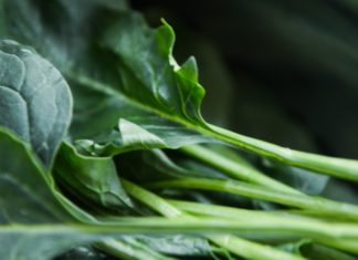 Amazing Health Benefits of Collard Green Amazing Health Benefits of Collard Green