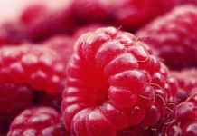 11 Health Benefits of Salmonberries 11 Health benefits of Salmonberries