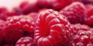 11 Health Benefits of Salmonberries 11 Health benefits of Salmonberries