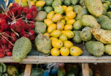 12 Health Benefits of Soursop Leaves 12 Health Benefits of Soursop Leaves