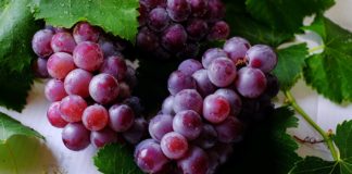 22 Health Benefits of Grape Leaves 22 Health Benefits of Grape Leaves