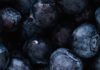 10 Health Benefits of Chokeberry 10 Health Benefits of Chokeberry