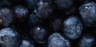 10 Health Benefits of Chokeberry 10 Health Benefits of Chokeberry