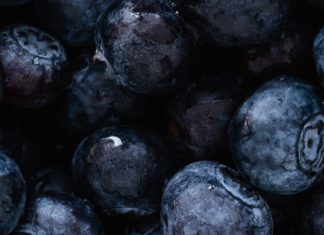 10 Health Benefits of Chokeberry 10 Health Benefits of Chokeberry