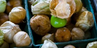 Incredible Health Benefits of Tomatillos Incredible Health Benefits of Tomatillos