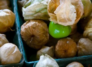 Incredible Health Benefits of Tomatillos Incredible Health Benefits of Tomatillos