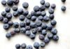 Go Get Bilberry for an Amazing Experience Go Get Bilberry for an Amazing Experience