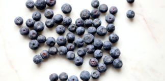 Go Get Bilberry for an Amazing Experience Go Get Bilberry for an Amazing Experience