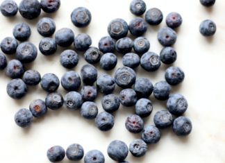 Go Get Bilberry for an Amazing Experience Go Get Bilberry for an Amazing Experience