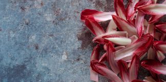 Ever Heard of the Health Benefits of Endive? Ever Heard of the Health Benefits of Endive?