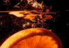 12 Health Benefits of Sapota
