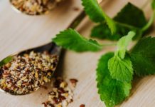 7 Health Benefits of the Baheda Herb 7 Health Benefits of the Baheda