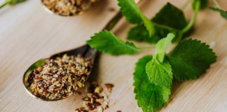 7 Health Benefits of the Baheda Herb 7 Health Benefits of the Baheda