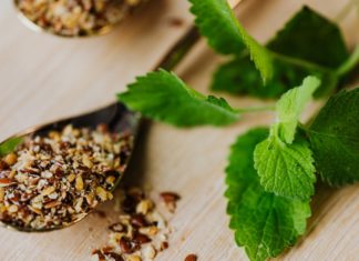 7 Health Benefits of the Baheda Herb 7 Health Benefits of the Baheda