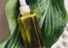 How Much Do You Know About Moringa Oil? How Much Do You Know About Moringa Oil?