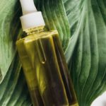 How Much Do You Know About Moringa Oil? How Much Do You Know About Moringa Oil?