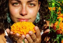 Health Benefits of Marigold marigold health benefits