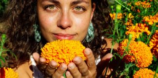 Health Benefits of Marigold marigold health benefits
