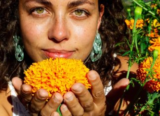 Health Benefits of Marigold marigold health benefits