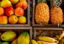 25 Best Fruits To Eat Daily Fruits