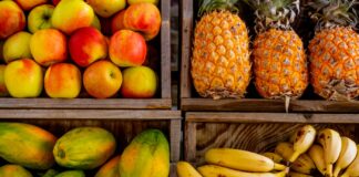 25 Best Fruits To Eat Daily Fruits