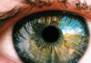 Best Fruits For The Eyes Fruits for the eyes