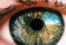 Best Fruits For The Eyes Fruits for the eyes