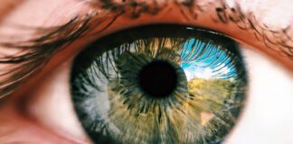 Best Fruits For The Eyes Fruits for the eyes